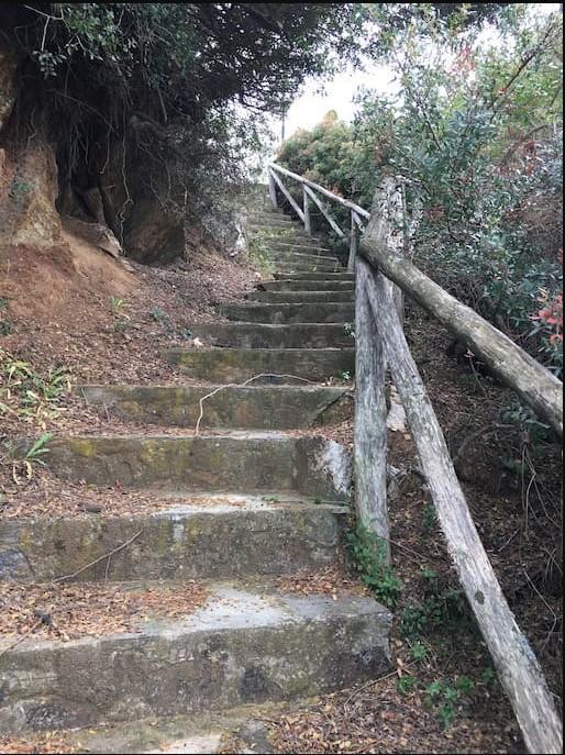 Villa In Cavo Kastri Residence ニキティ エクステリア 写真