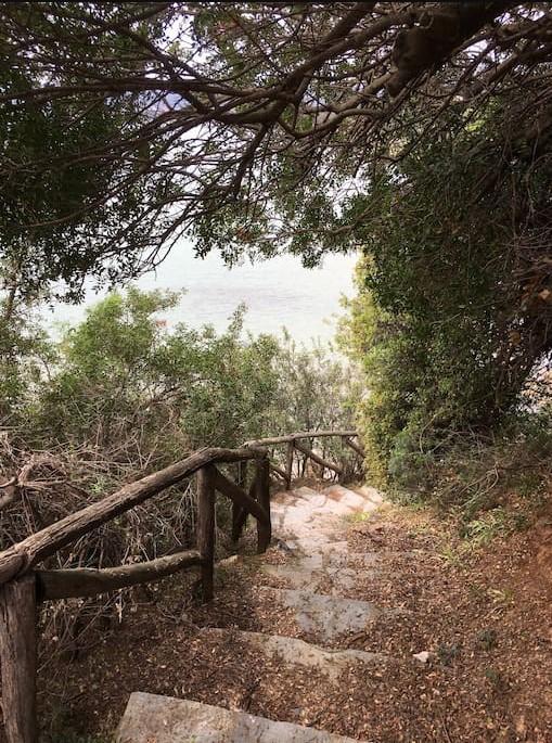 Villa In Cavo Kastri Residence ニキティ エクステリア 写真
