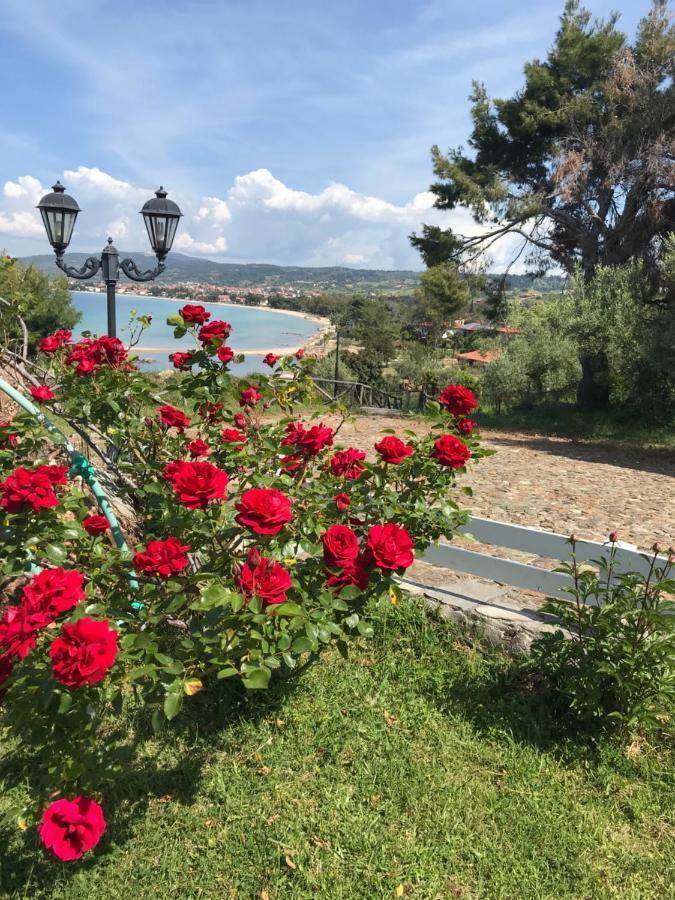 Villa In Cavo Kastri Residence ニキティ エクステリア 写真